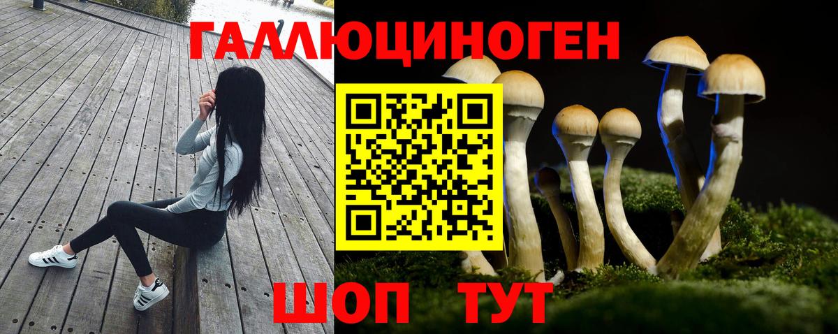 Галлюциногенные грибы мухоморы Кирово-Чепецк